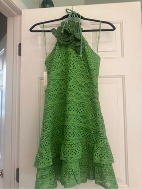 Farm Rio exclusively for Anthropologie Green Crochet Summer Dress